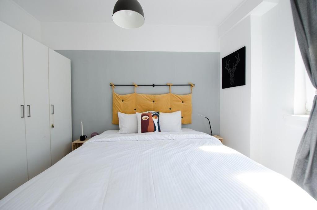 Bright Apartment Near Cismigiu And Old Town 布加勒斯特 外观 照片